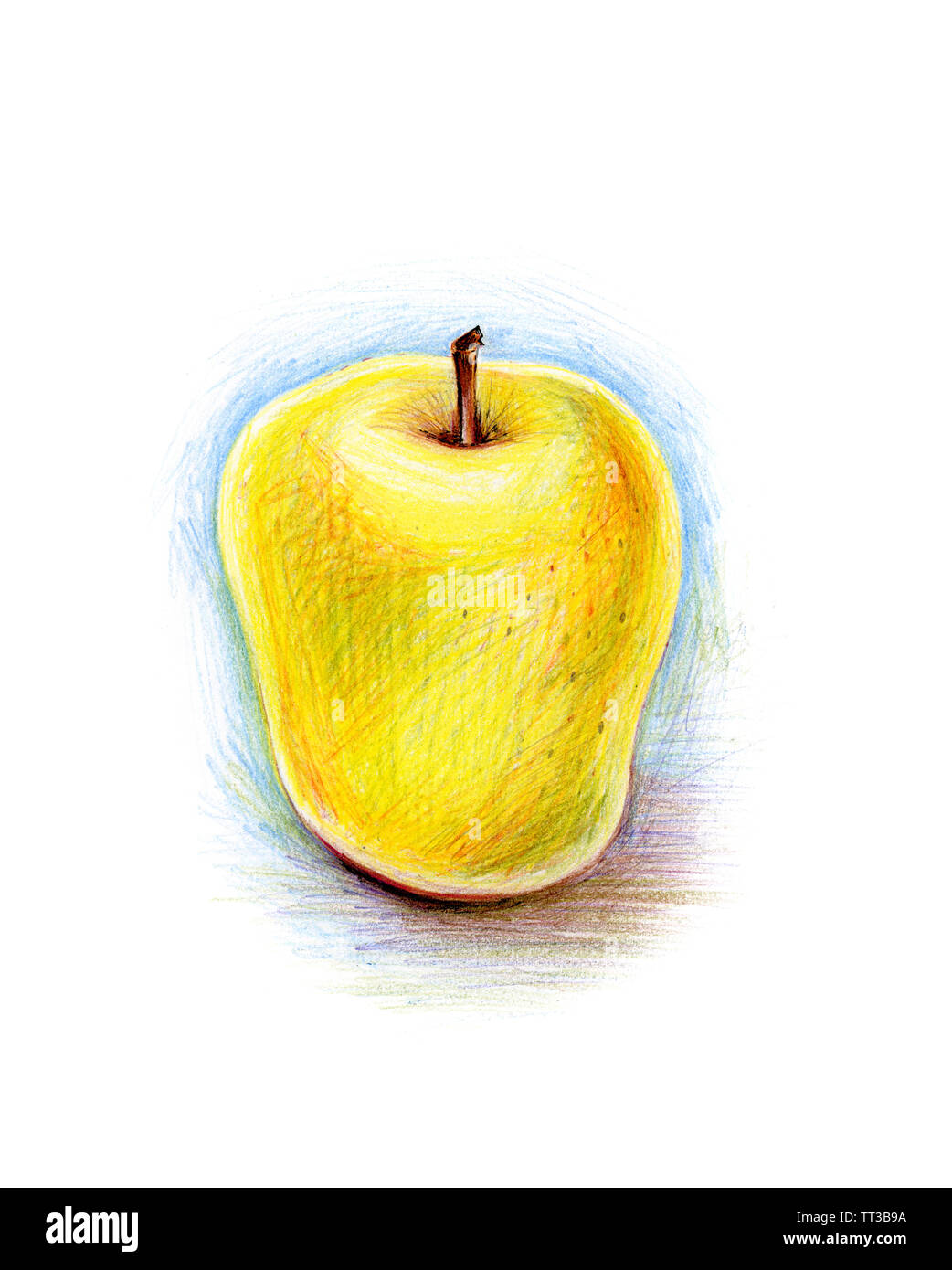 Pencil drawing of yellow apple Stock Photo