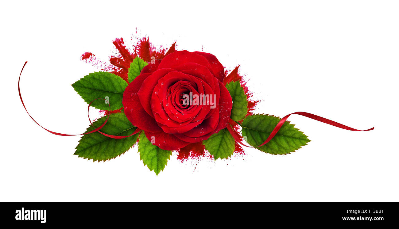 Red rose flower and silk ribbon in a floral arrangement on brushed ...