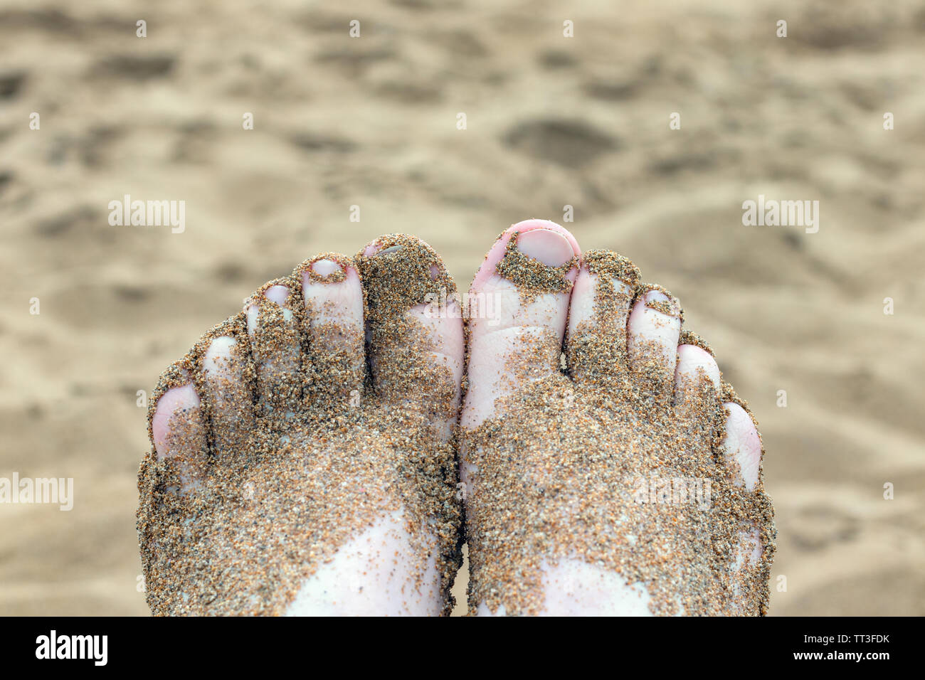 Sandy feet at the beach. Summer holiday concept with copy space. Stock Photo
