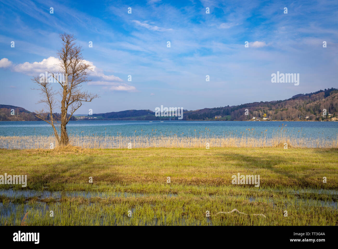 Local Recreation Area Mattsee in Austria Stock Photo Alamy
