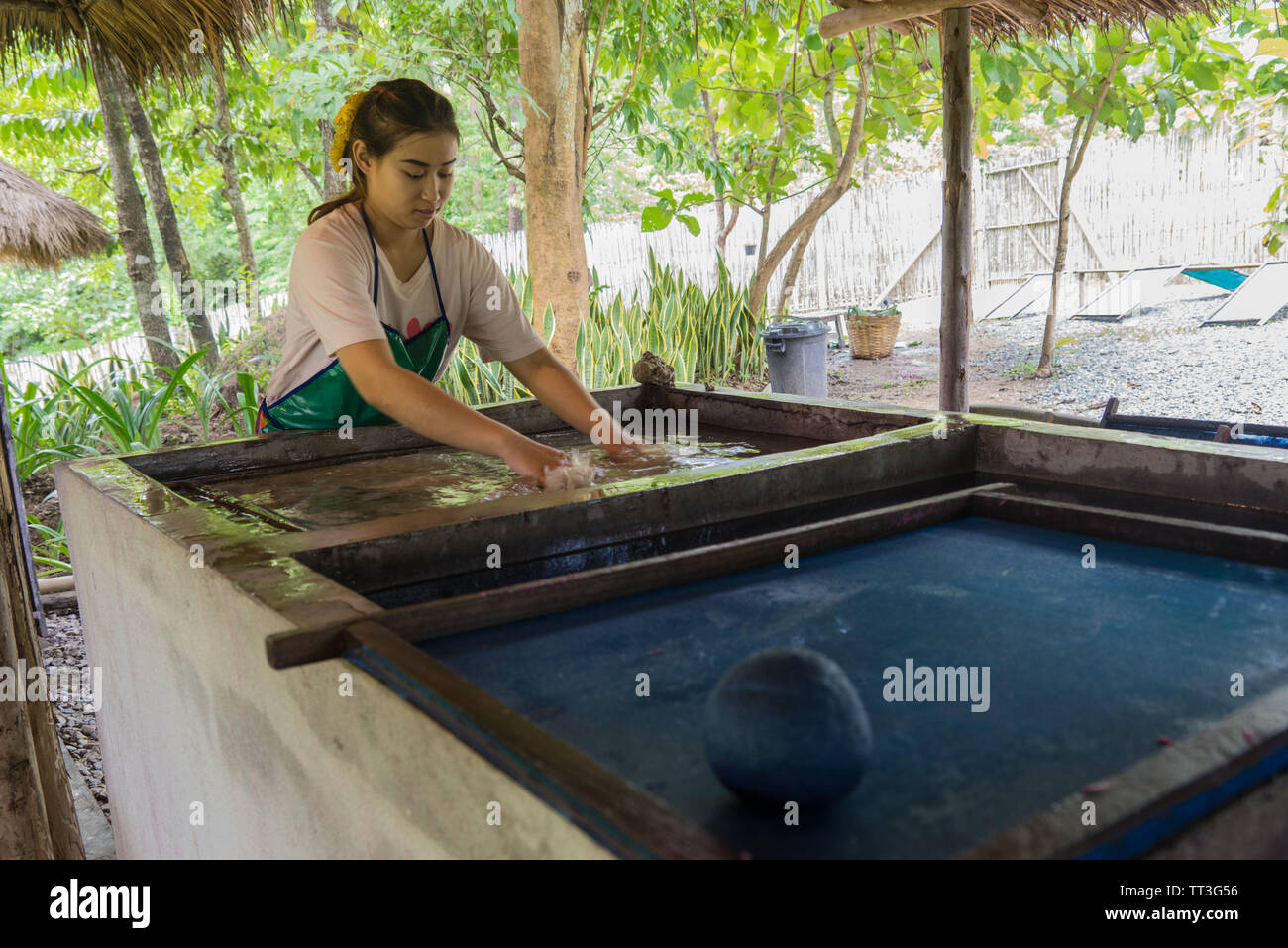 Chiang Mai, Thailand. September 14, 2015. A women making handmade paper from elephant poo Stock Photo