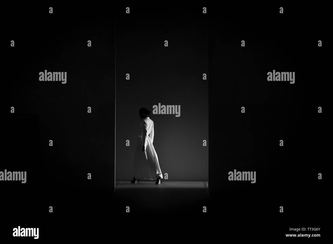 Fashion Show, Catwalk Event, Runway Show themed photo. Stock Photo