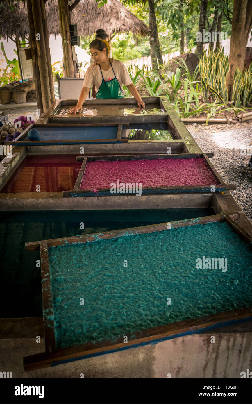 Chiang Mai, Thailand. September 14, 2015. A women making handmade paper from elephant poo Stock Photo