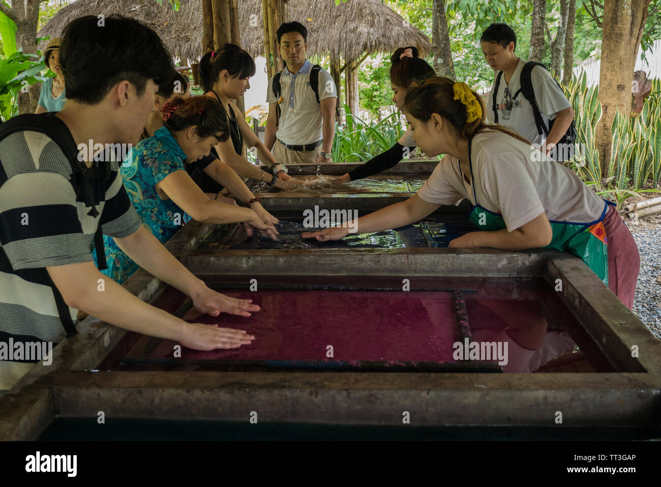 Chiang Mai, Thailand. September 14, 2015. People making handmade paper from elephant poo Stock Photo