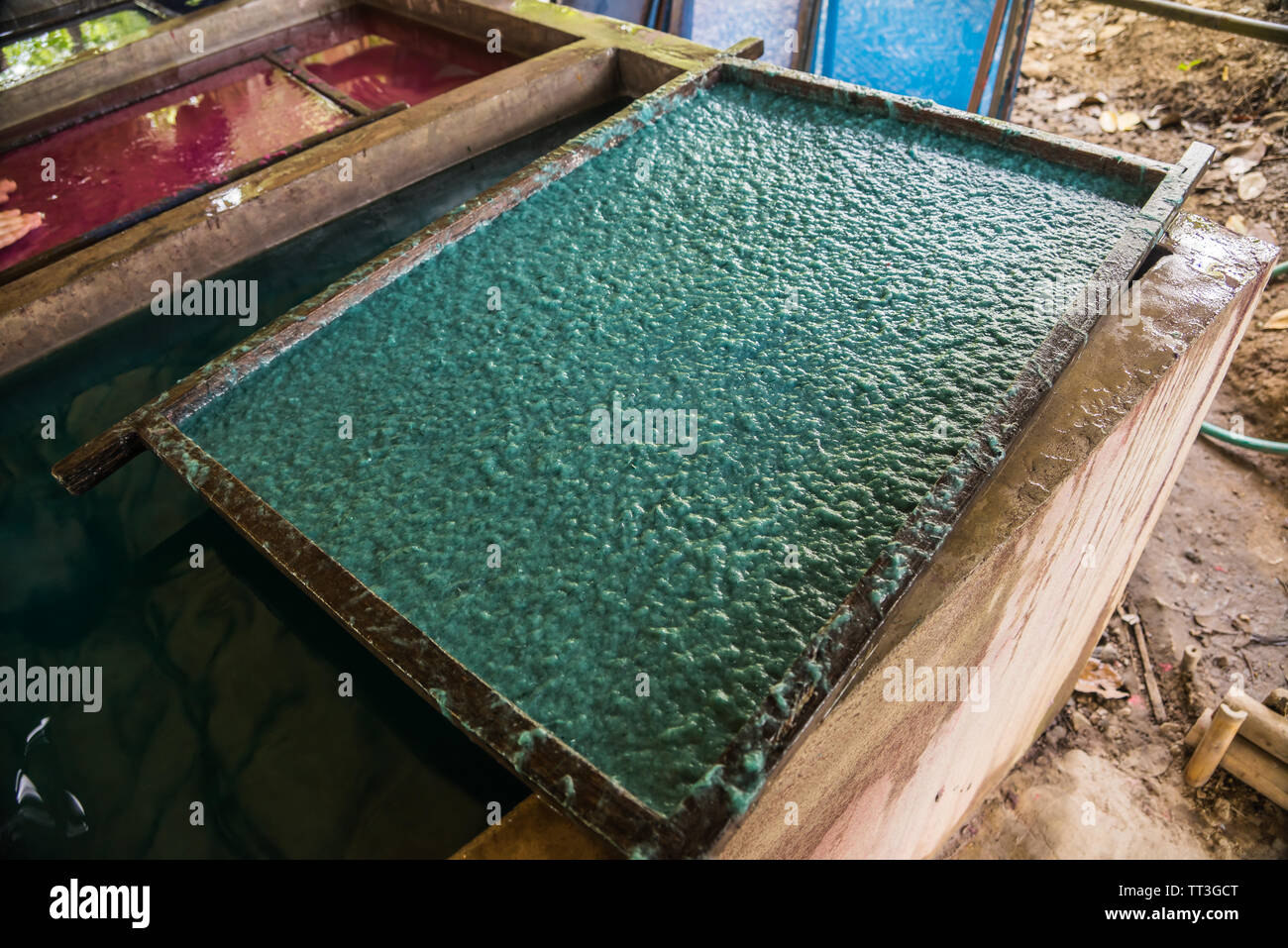 Handmade paper from elephant poo is set out to dry Stock Photo