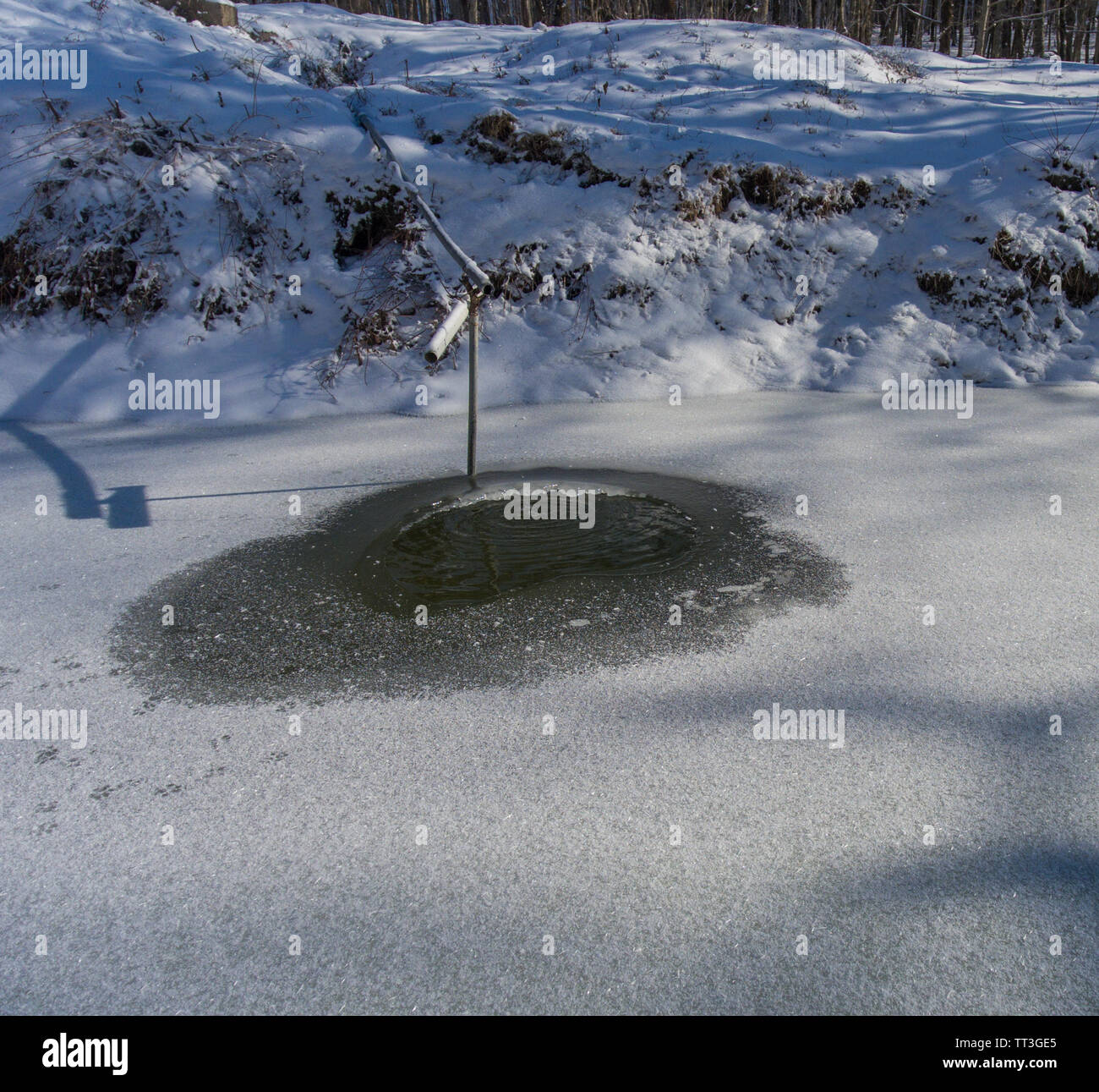 Photo of wellspring in the winter woods. Stock Photo