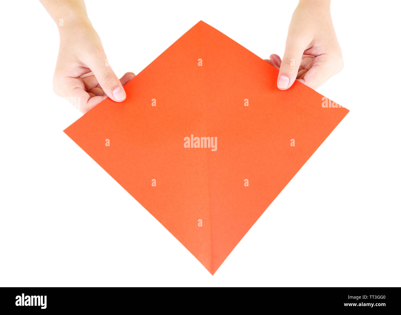 Hands making origami rabbit, close up, isolated on white Stock Photo