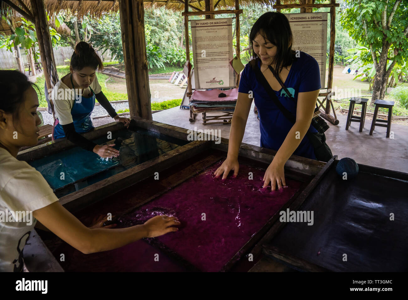 Chiang Mai, Thailand. September 14, 2015. People making handmade paper from elephant poo Stock Photo