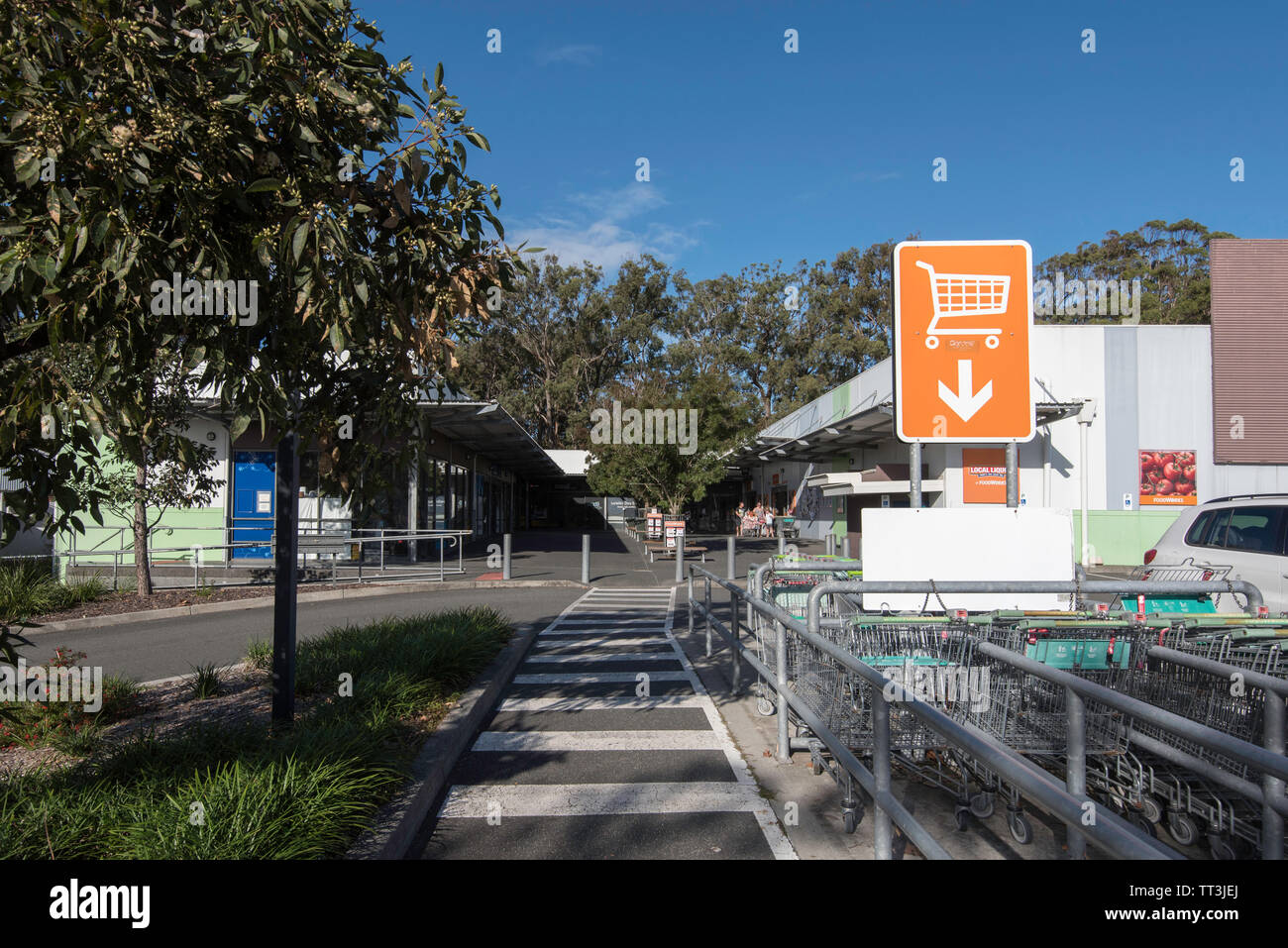 Shopping trolleys outside the Foodworks supermarket at Hallidays Point