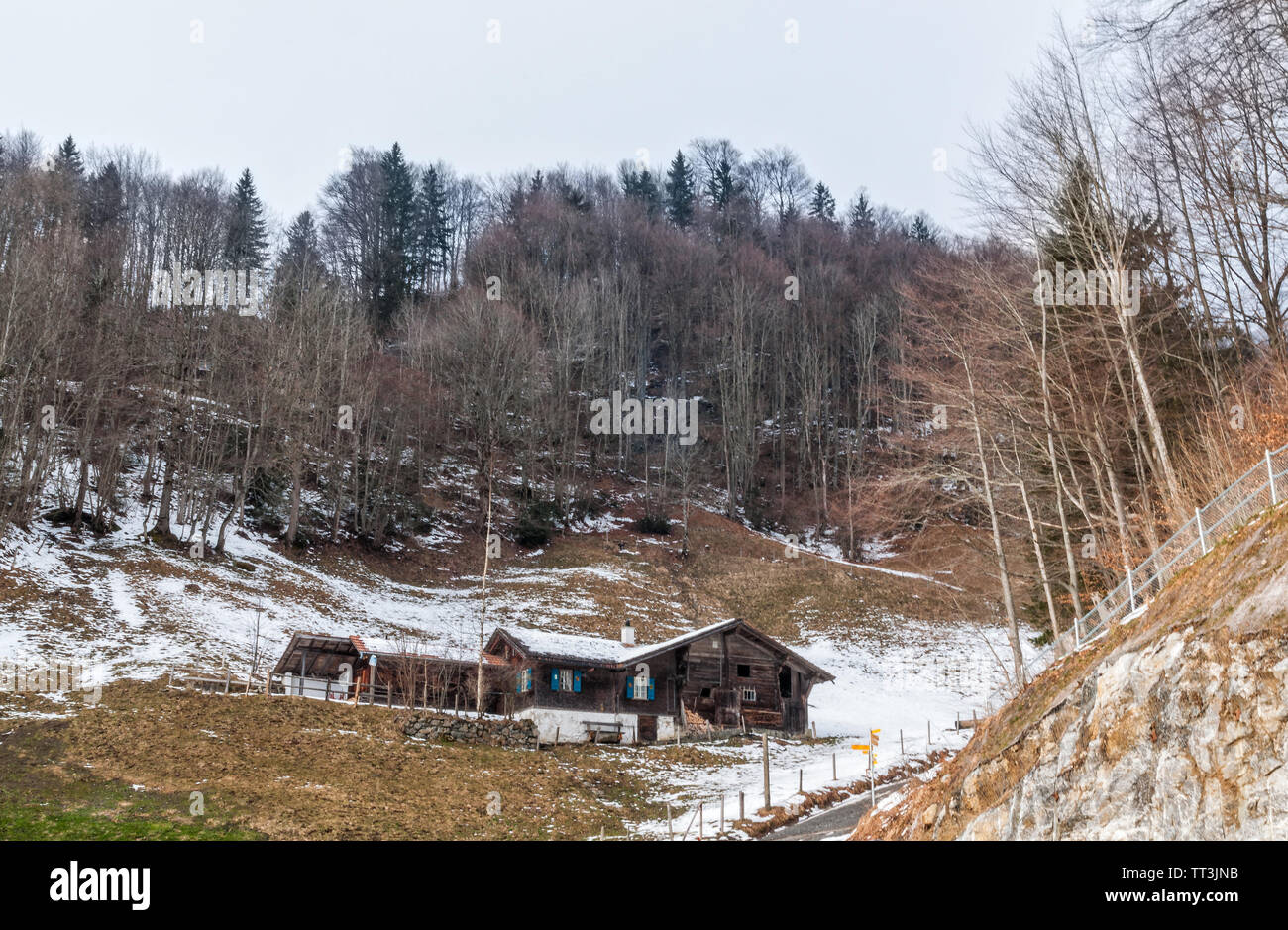 A cottage is lying on a snow laden grass in Meiringen,Switzerland, with a backdrop of line of trees. Stock Photo
