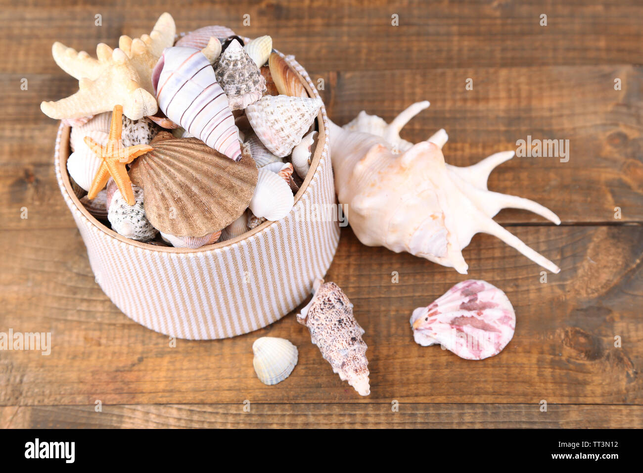 White box full of sea gifts on brown wooden background Stock Photo