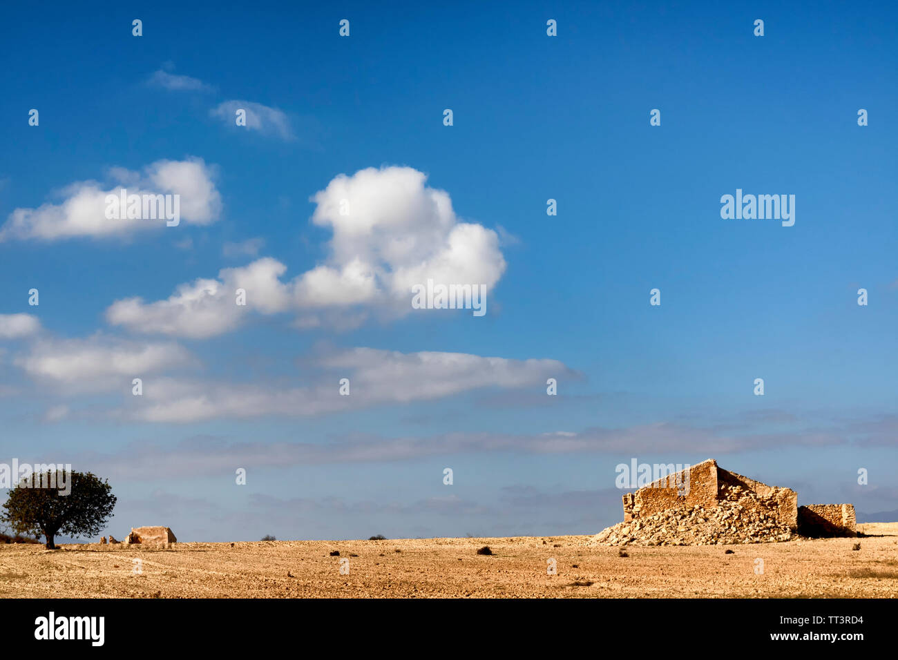 An arid Spanish landscape with a ruined abandoned house and solitary tree Stock Photo