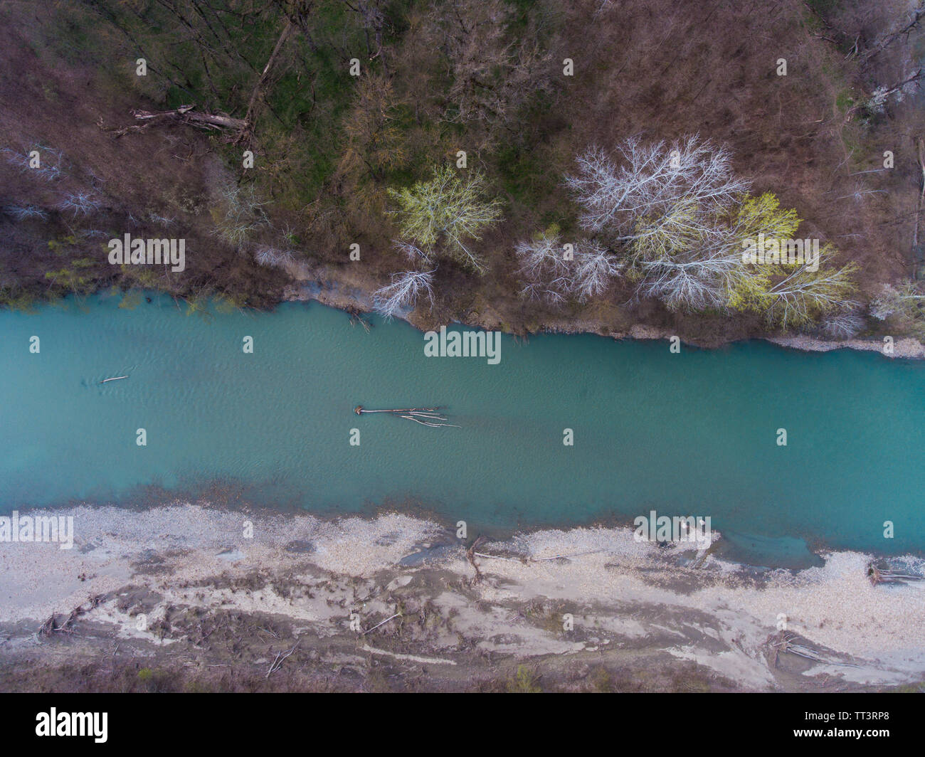Aerial view from the air on a fallen tree in the river. Stock Photo