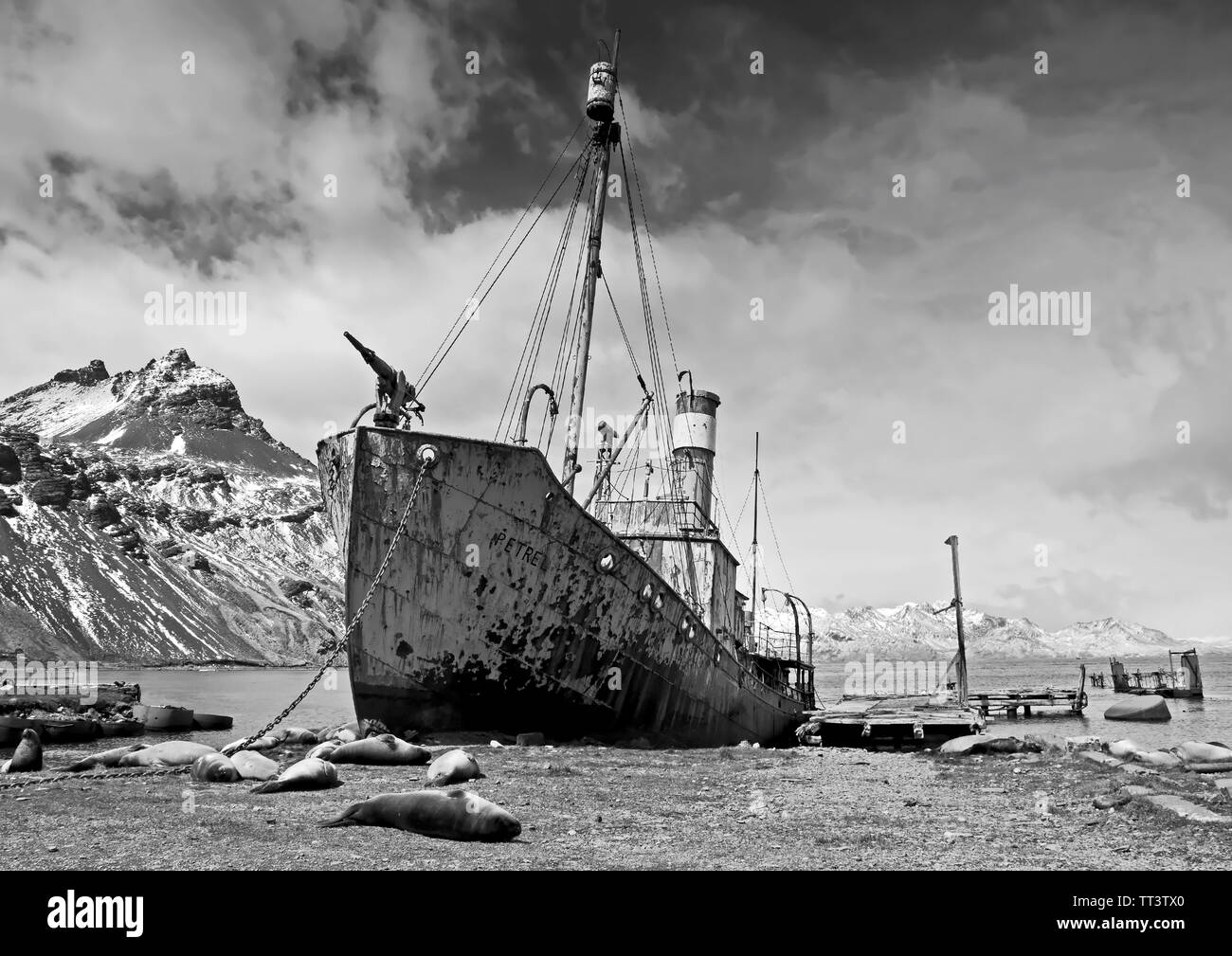 Abandoned Whaling Ship 3 Stock Photo Alamy
