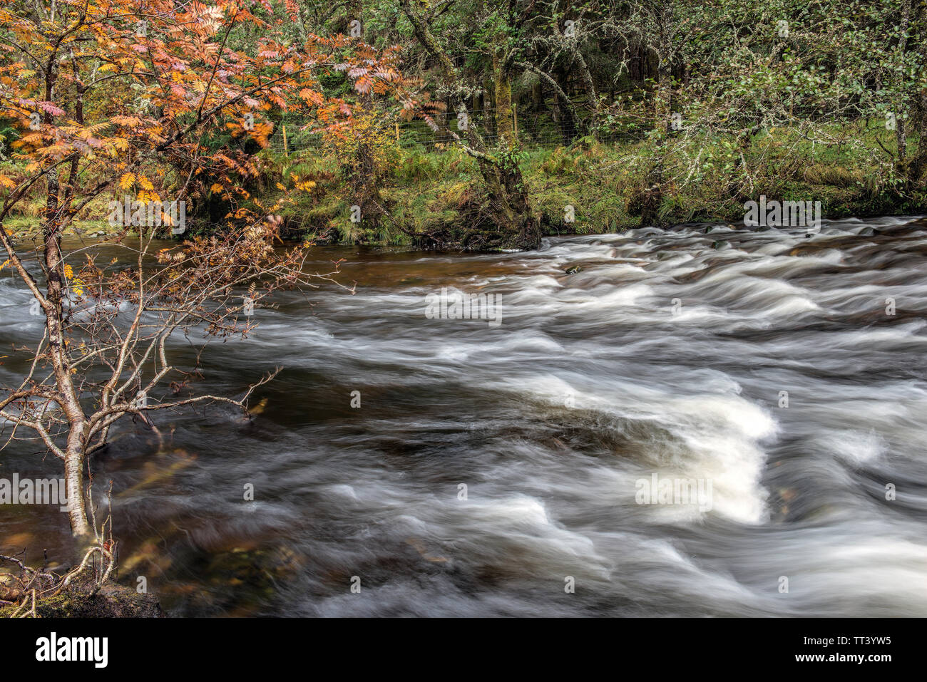 River Loy in Glen Loy. Scotland Stock Photo