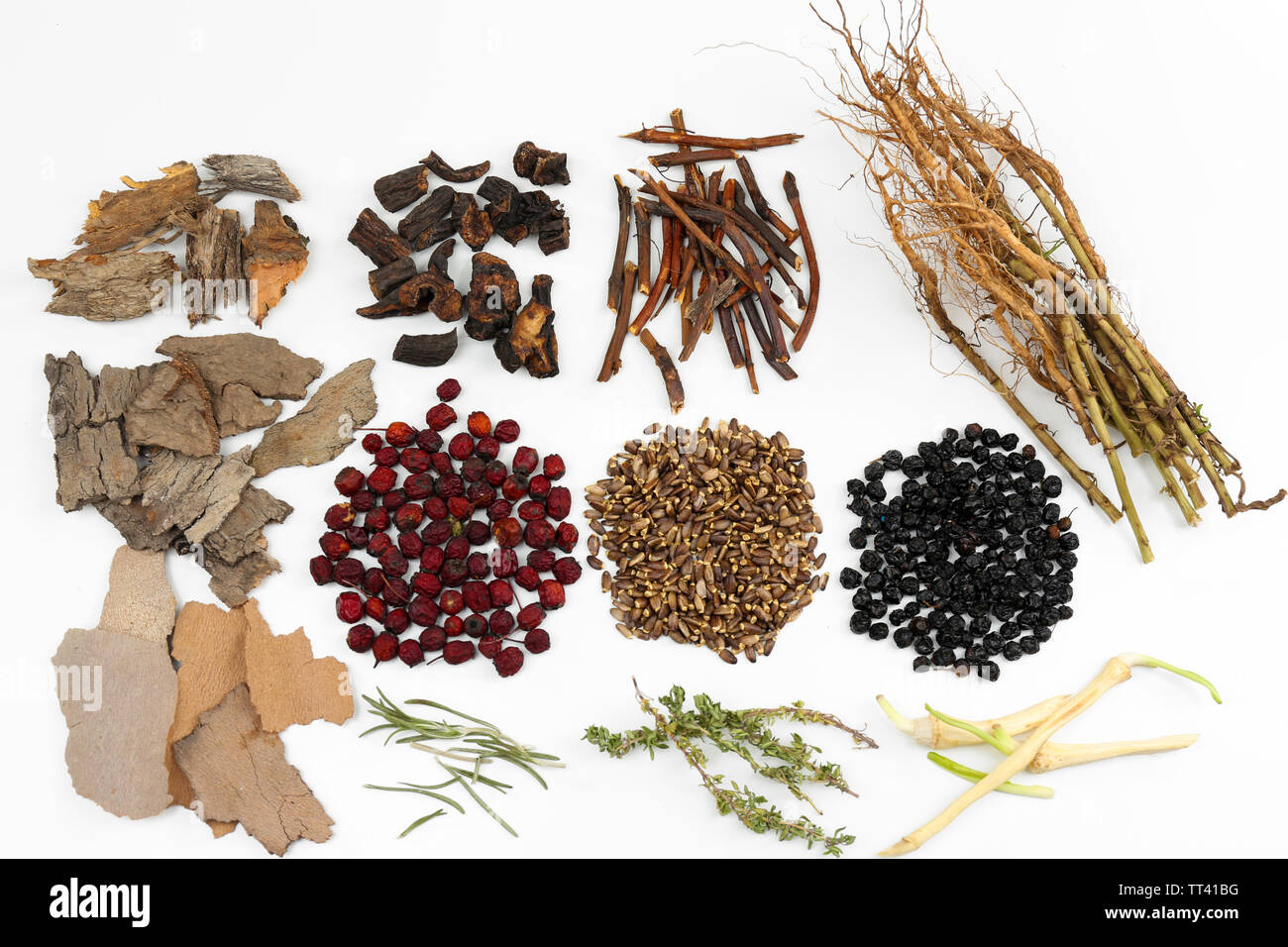 Traditional chinese herbal medicine ingredients, isolated on white