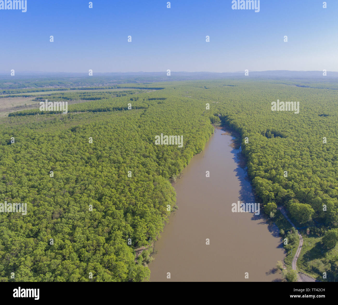 Drone photo. The aerial view of the muddy lake and the forest. Stock Photo