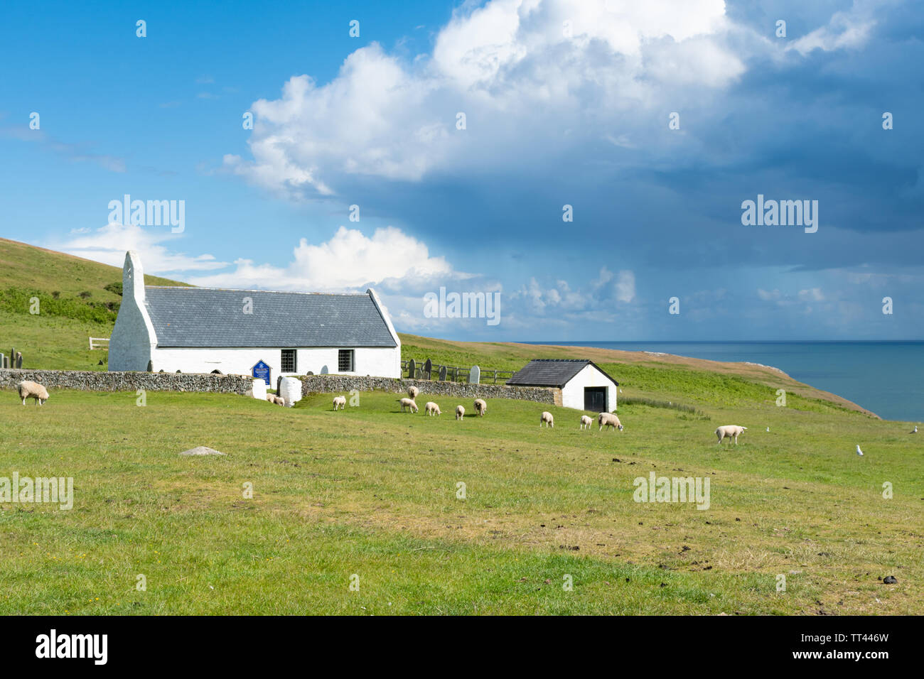 The Church of the Holy Cross (Welsh: Eglwys y Grog), an example of a medieval sailor's chapel of ease, at Mwnt Bay, Ceredigion, Wales Stock Photo