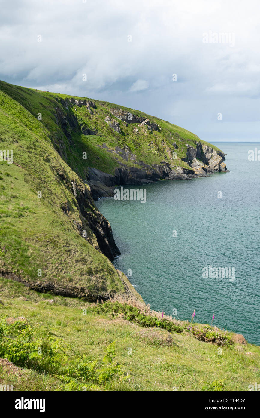 Rugged coastal scenery at Mwnt Bay in Ceredigion, Wales Stock Photo