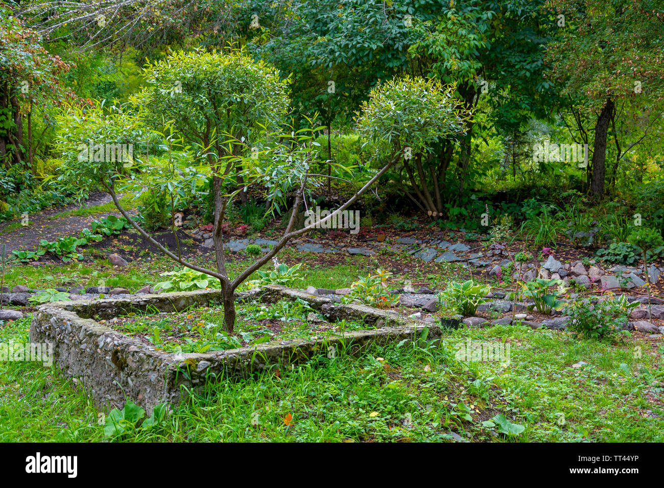Overgrown grass plants in hi-res stock photography and images - Alamy