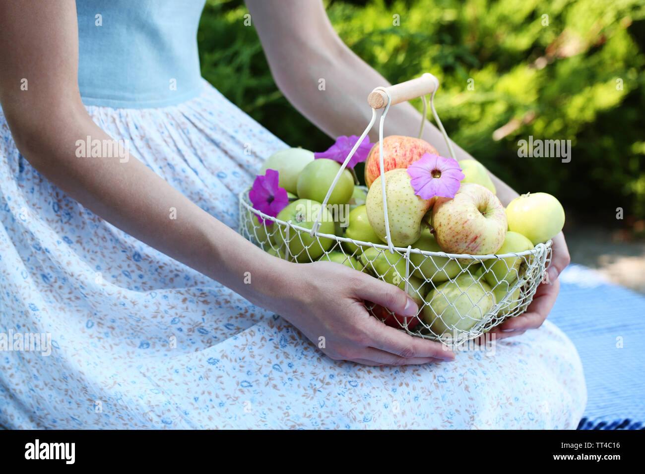 Girl holding basket of apples outdoors Stock Photo - Alamy