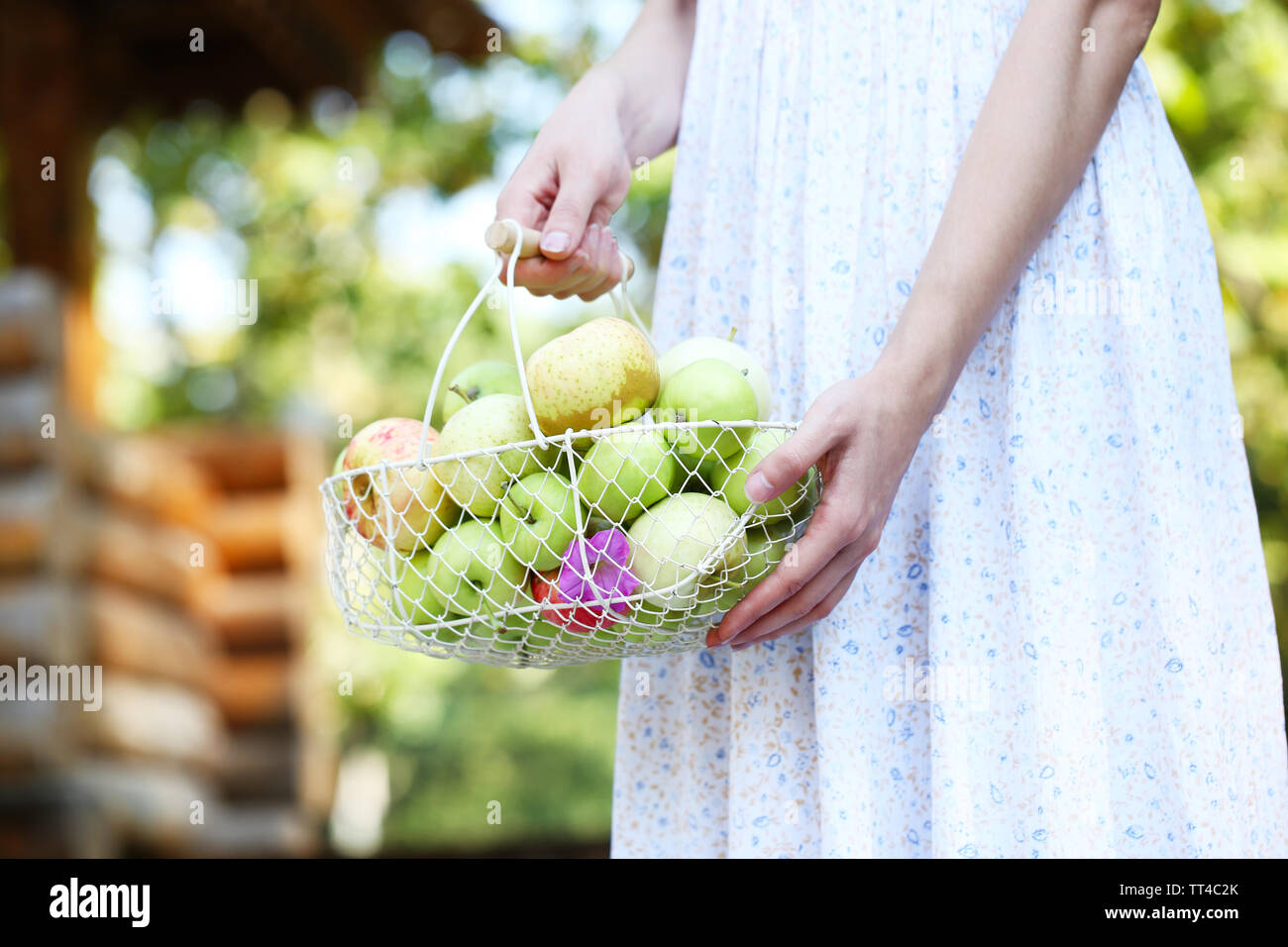 Girl holding basket of apples outdoors Stock Photo - Alamy