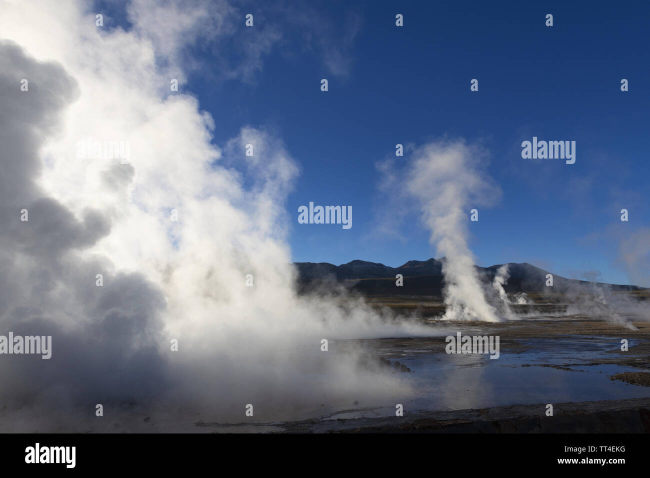 El Tatio geyser field in the Andes Mountains in Atacama Desert Stock Photo