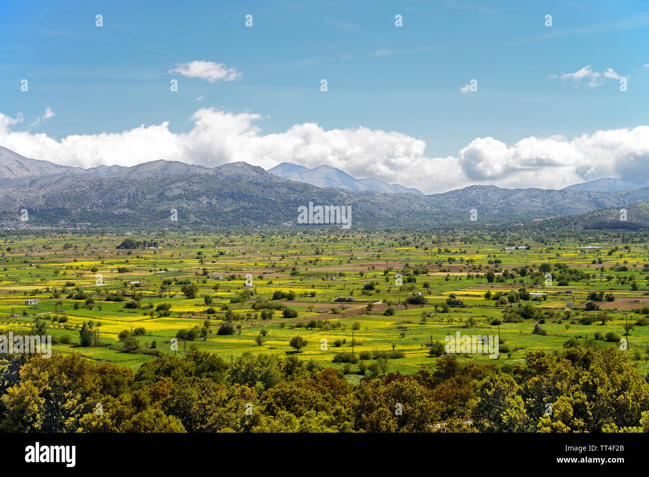 The Lasithi Plateau is located in the Lasithi region of eastern Crete ringed by the Dikti Mountains. The plateau is famous for its many windmills Stock Photo