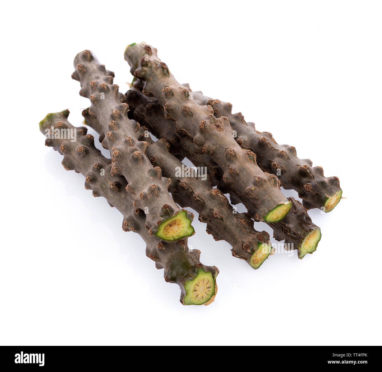 Tinospora Cordifolia isolated on white background Stock Photo - Alamy
