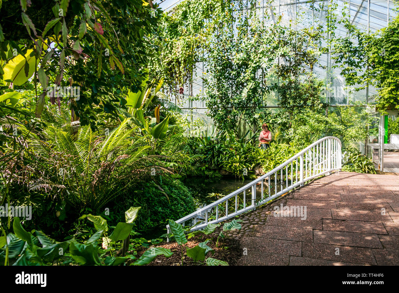 The Rainforest Riches House at the Royal Botanic Garden, Edinburgh, Scotland. Stock Photo