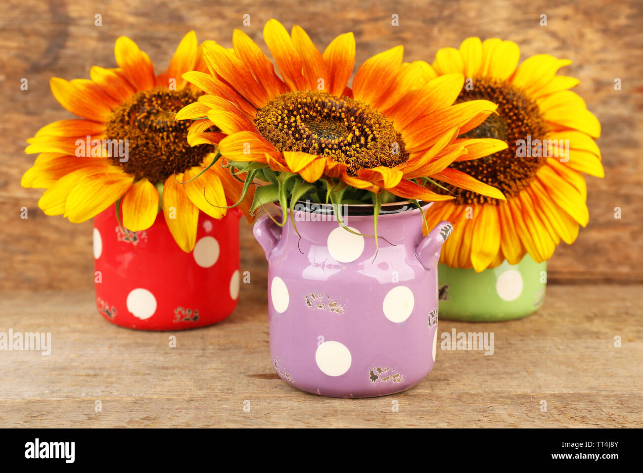 Beautiful sunflowers in cans on table on wooden background Stock Photo