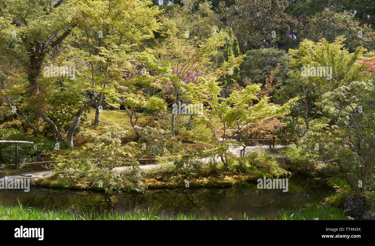 Japanese garden with lots of maple trees, a path and a river in foreground. Stock Photo