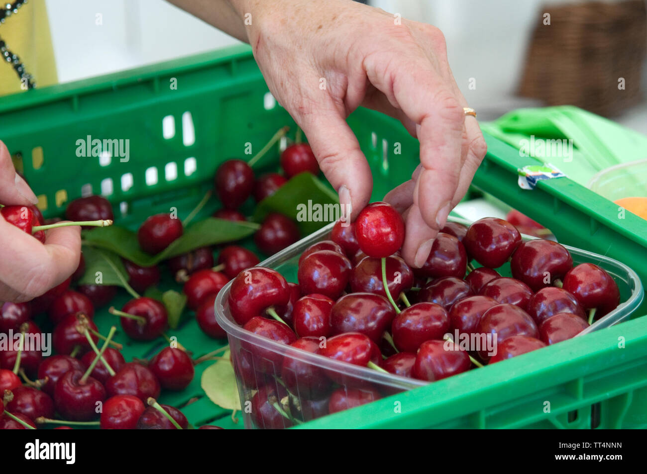 Italy, Emilia Romagna, Vignola, Market, Cherries Stock Photo