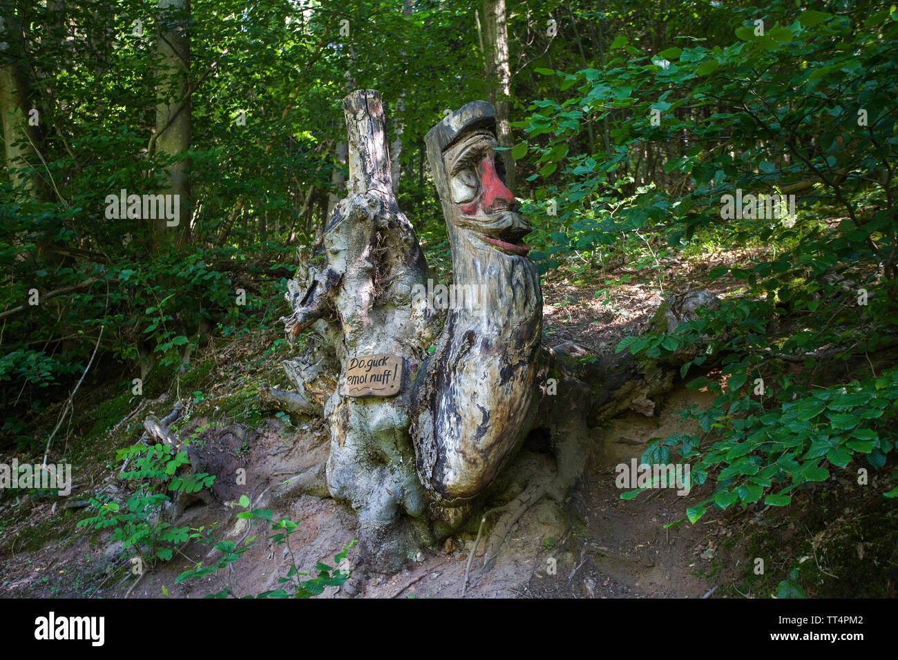 Carved face in a tree trunk, forest ghosts trail (german: Waldgeisterweg), Oberotterbach, German Wine Route, Rhineland-Palatinate, Germany Stock Photo