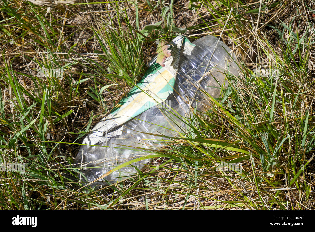 Pollution, a plastic bottle abandoned on a roadside verge, France Stock Photo