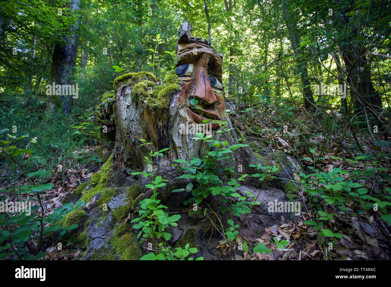Carved face in a tree trunk, forest ghosts trail (german: Waldgeisterweg), Oberotterbach, German Wine Route, Rhineland-Palatinate, Germany Stock Photo