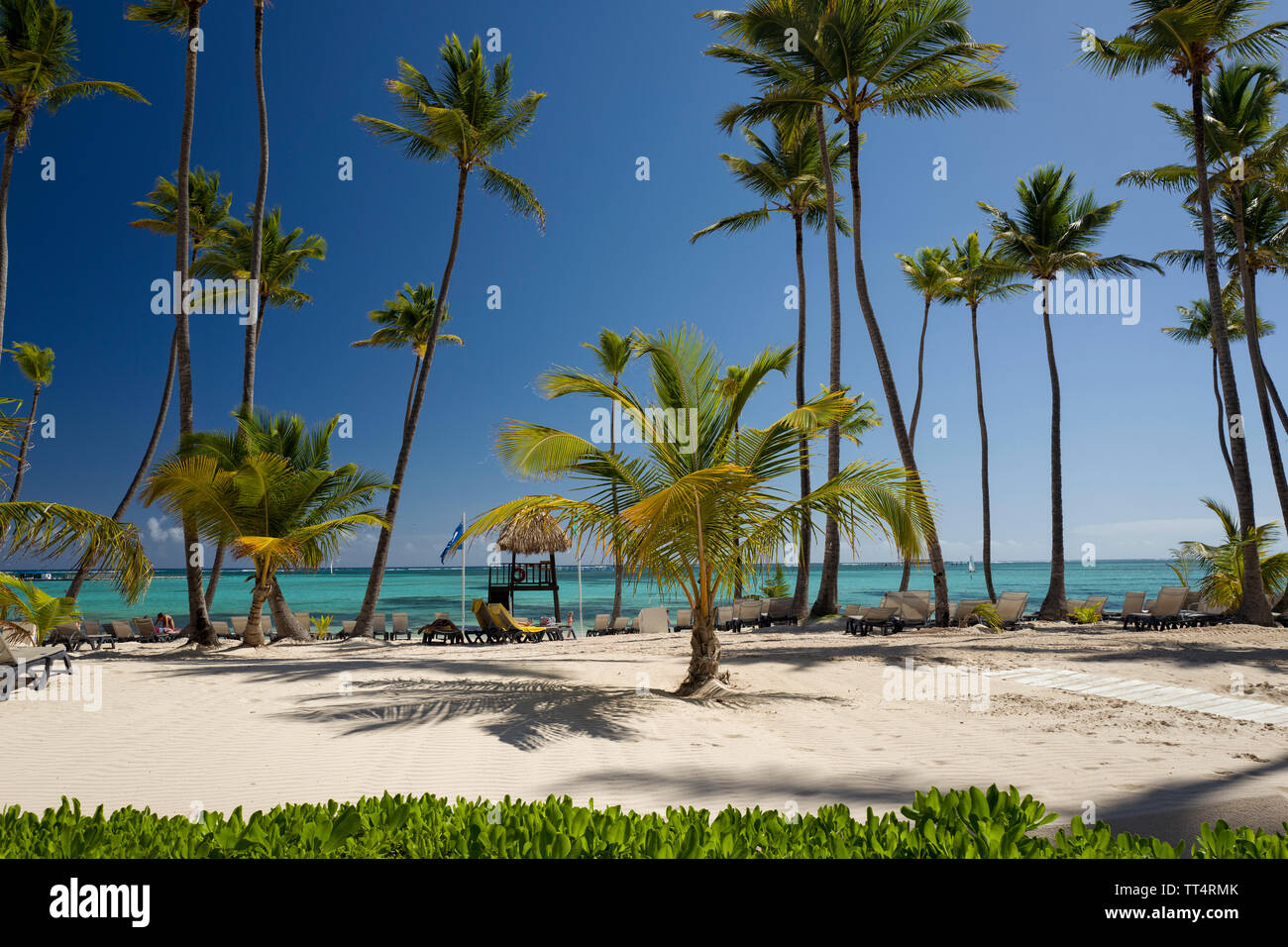 Bavaro Beach Dominican Republic Stock Photo Alamy