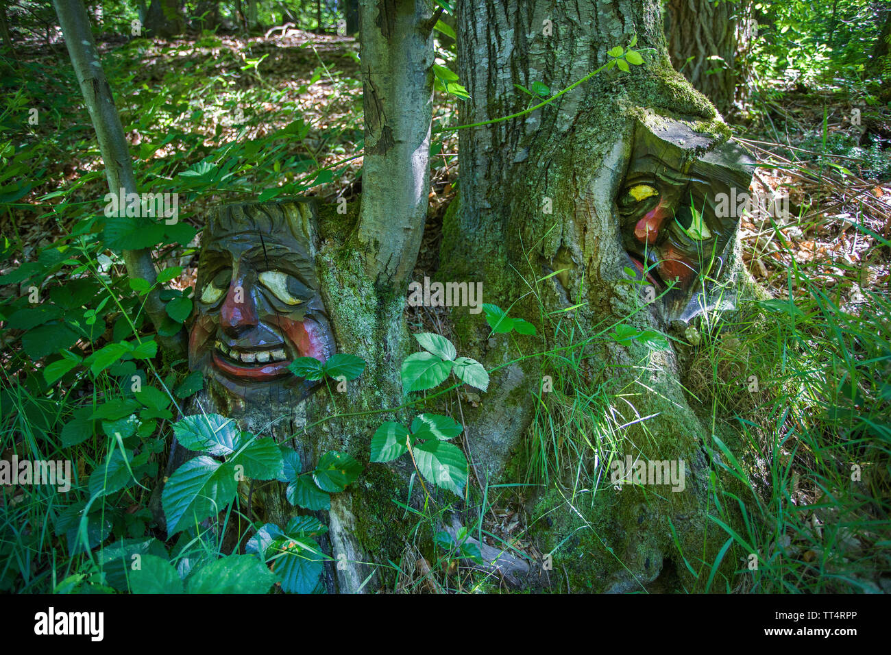 Carved faces in a tree trunk, forest ghosts trail (german: Waldgeisterweg), Oberotterbach, German Wine Route, Rhineland-Palatinate, Germany Stock Photo