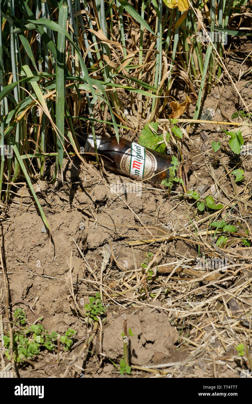 Beer Rings Polution Pollution, a glass bottle of beerr abandoned on a roadside verge ...