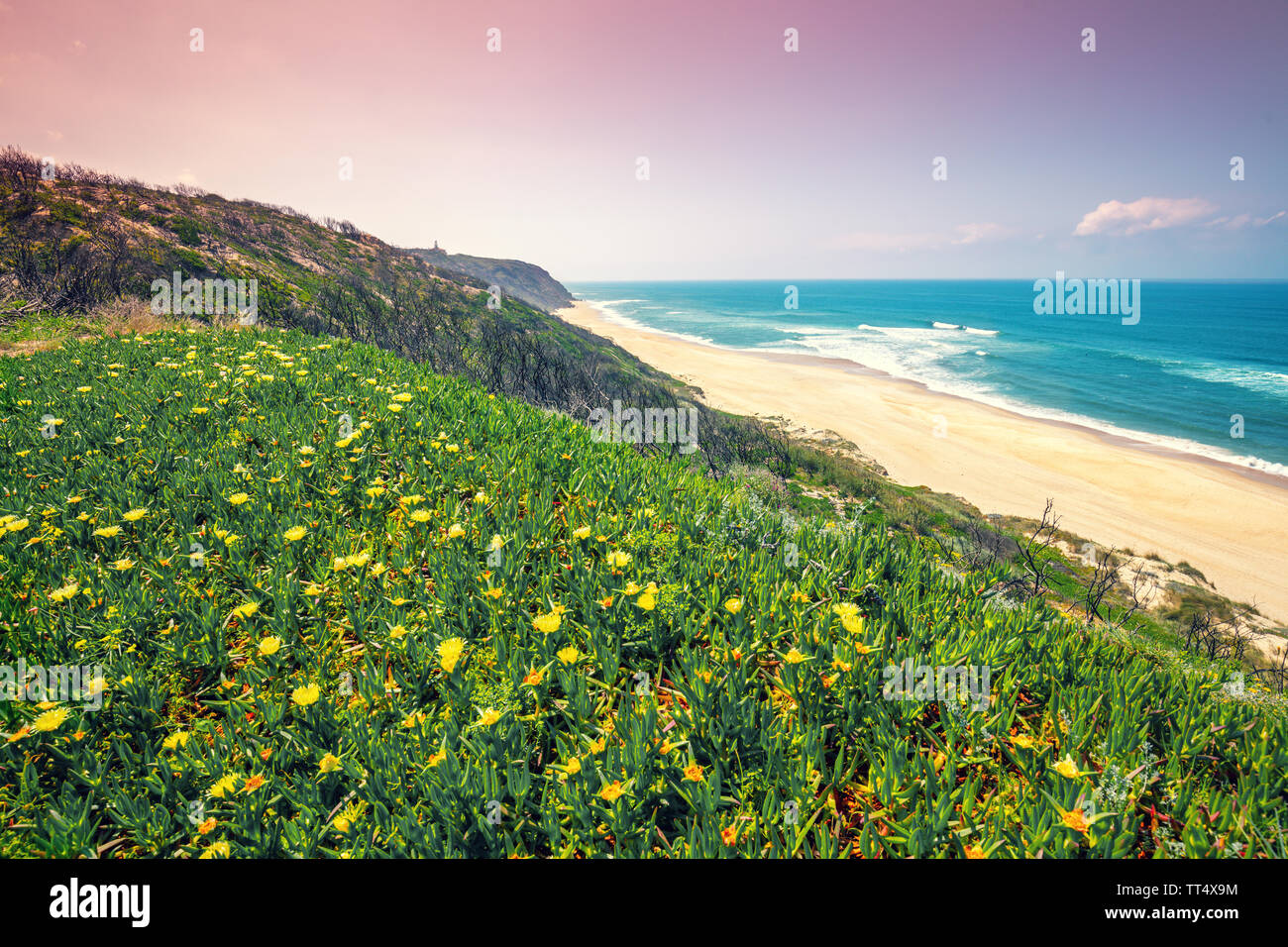 Rocky seashore on a sunny day. The beautiful flowering slope of the mountain. Paredes da Vitoria Beach, Portugal, Europe Stock Photo