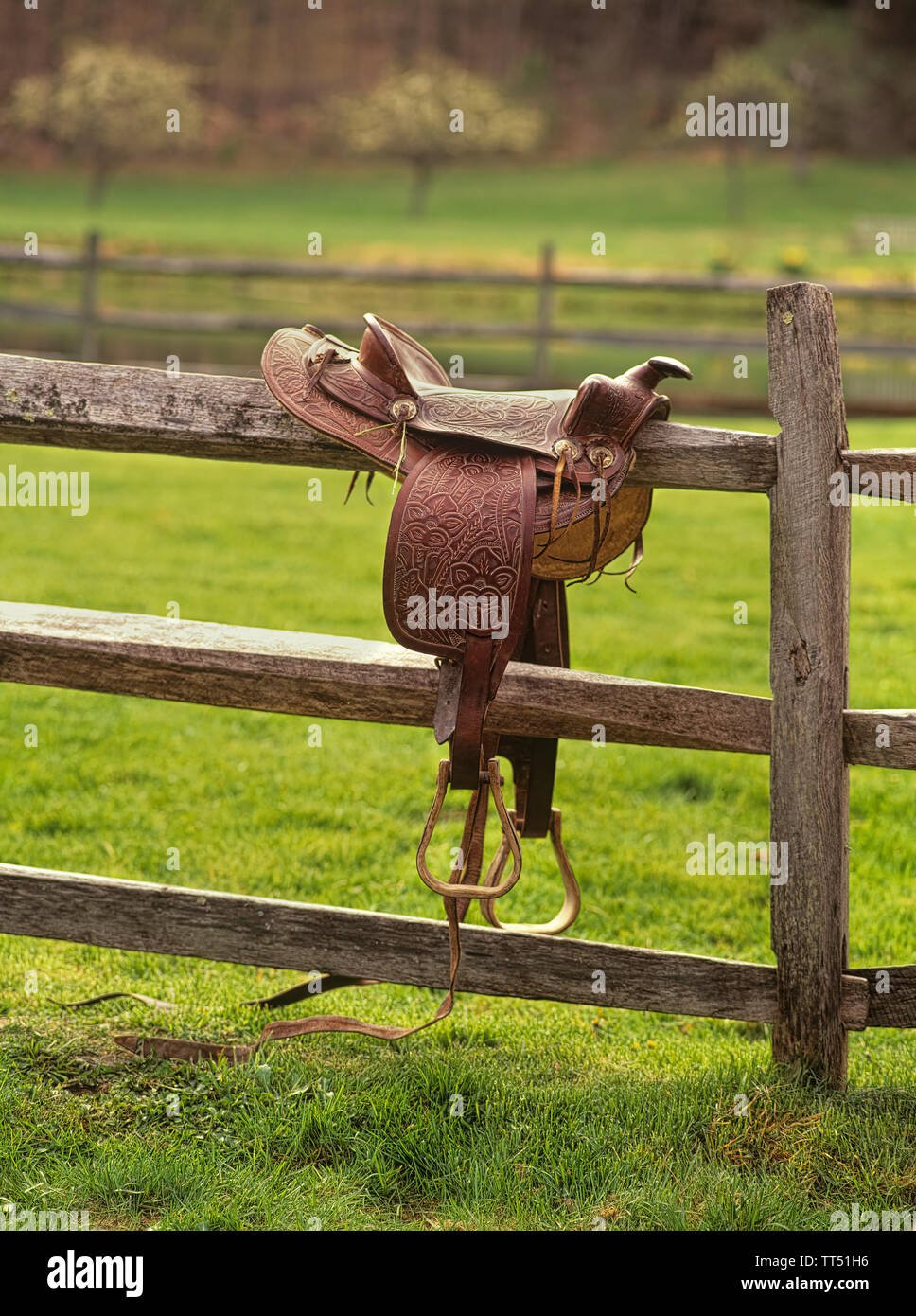Saddle for horseback riding Stock Photo Alamy