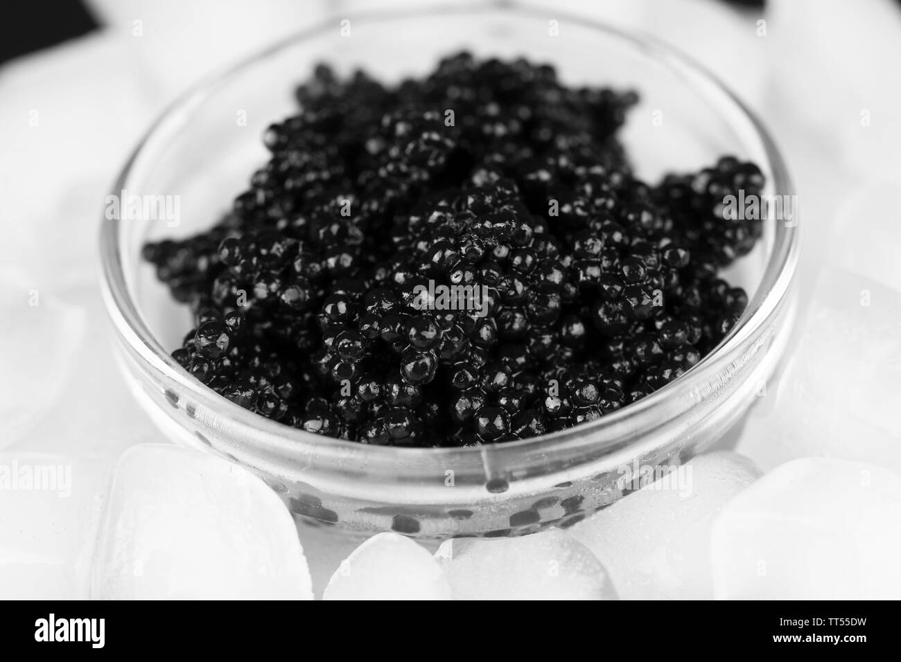 Black caviar in glass bowl and ice closeup Stock Photo