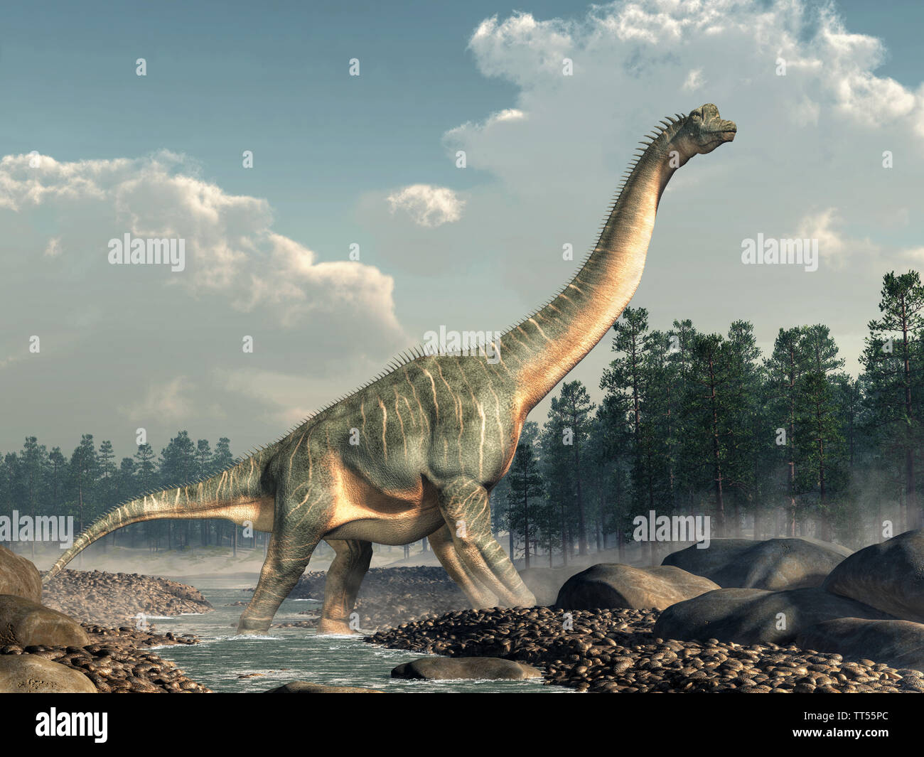 Brachiosaurus was a sauropod dinosaur, one of the largest and most