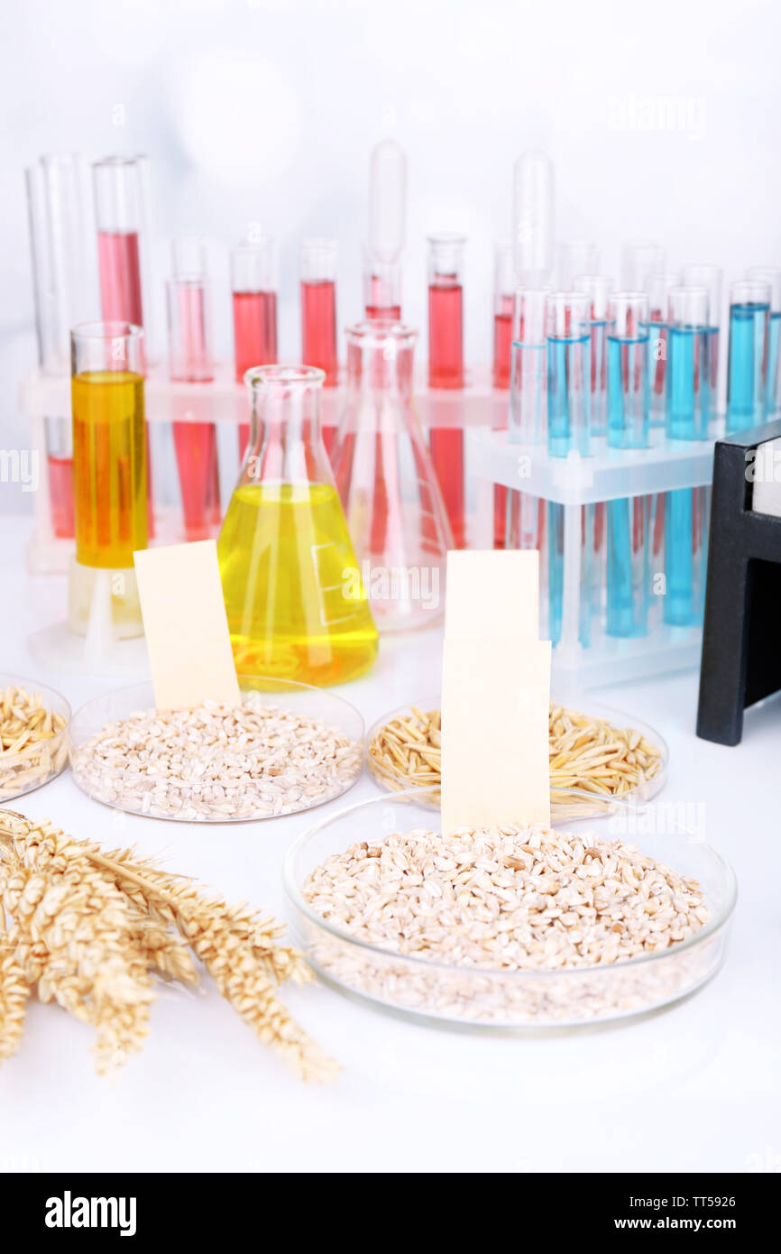 Microbiological testing for food quality at biochemistry laboratory