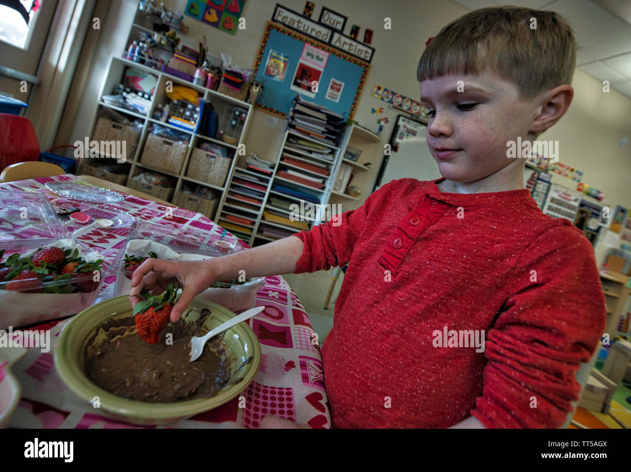 UNITED STATES - FEB. 12, 2016: Kindergartner Andrew Roos makes chocolate covered strawberries for Valentines Day during class at Loudoun County Day Sc Stock Photo