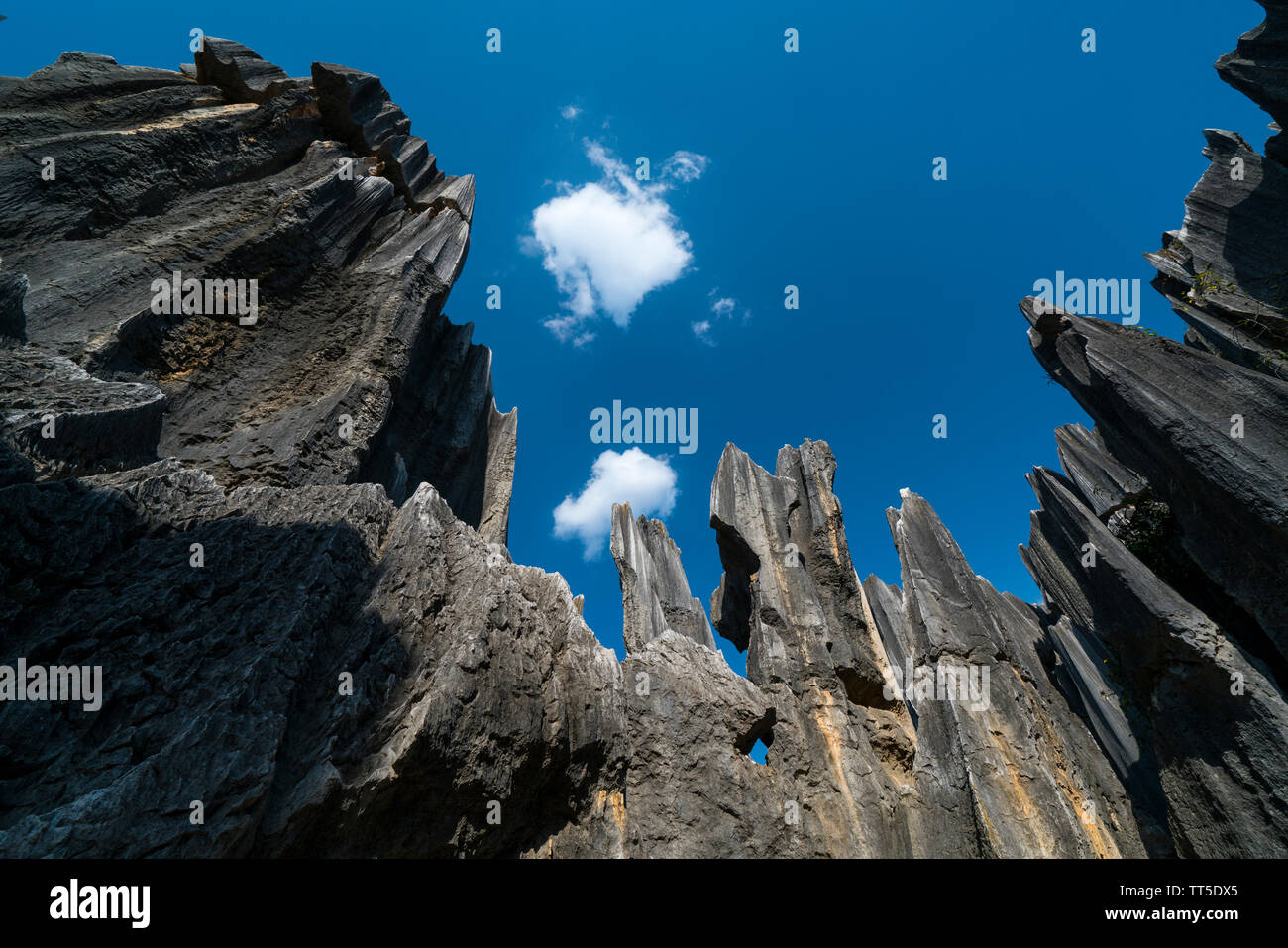 Tall rocks formations of limestone, The Stone Forest, Shilin Yi ...
