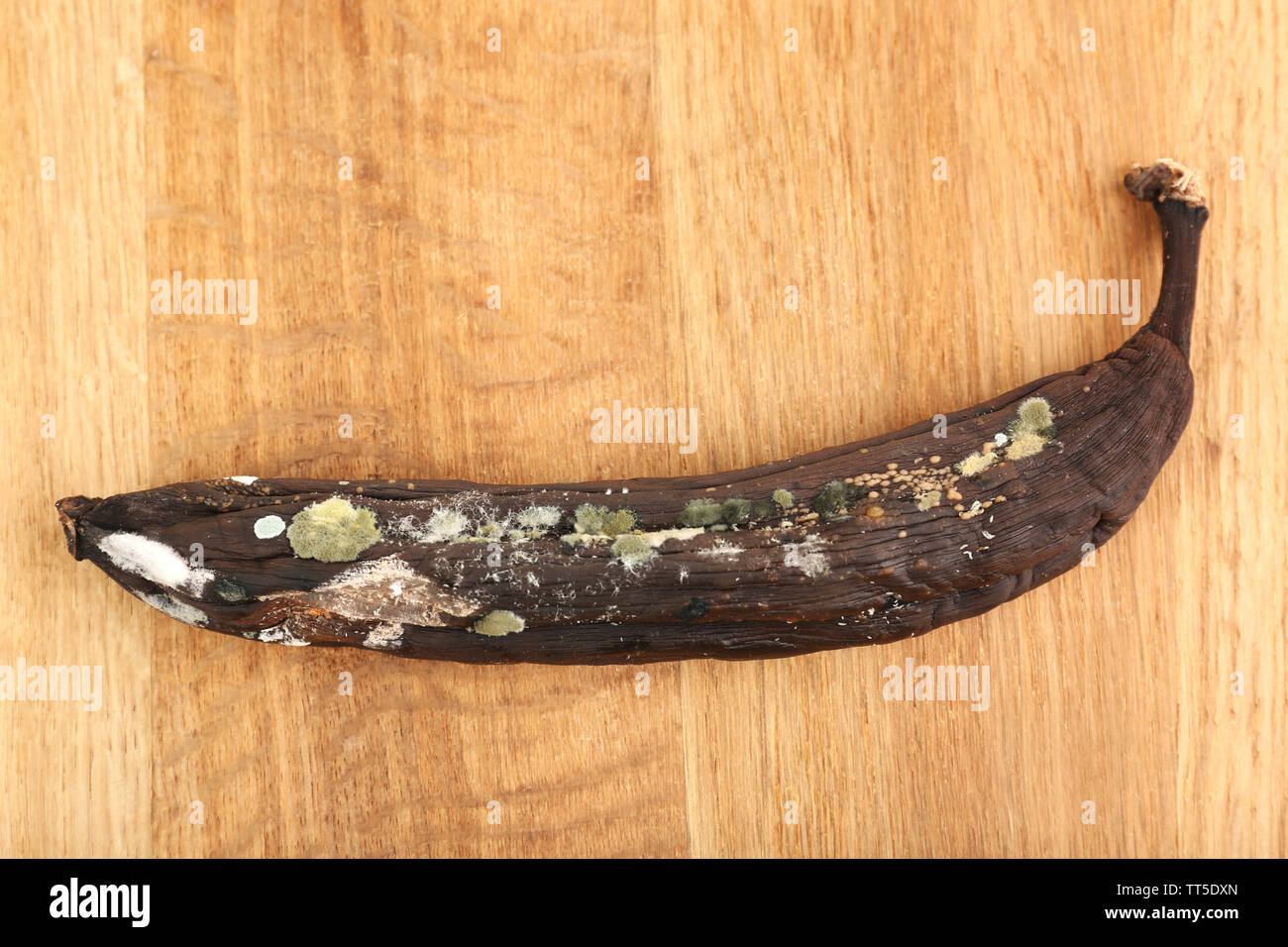 Do Rotten Bananas Smell at Scott Featherston blog