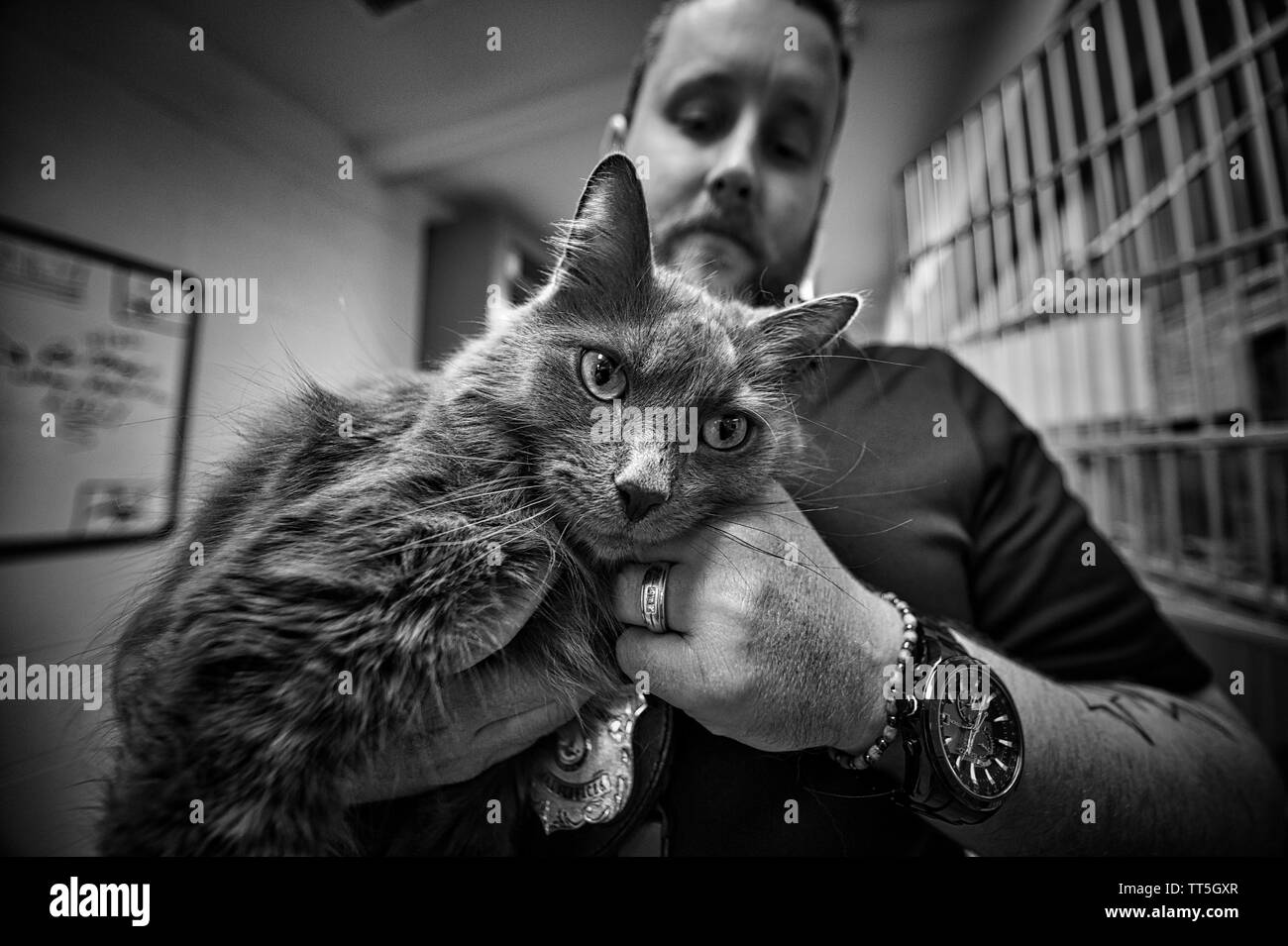 Mark Stack UNITED STATES - May 2, 2016: Chief Mark Stacks of the Department of ...