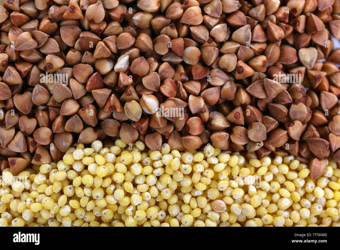 Little millet crop hires stock photography and images Alamy