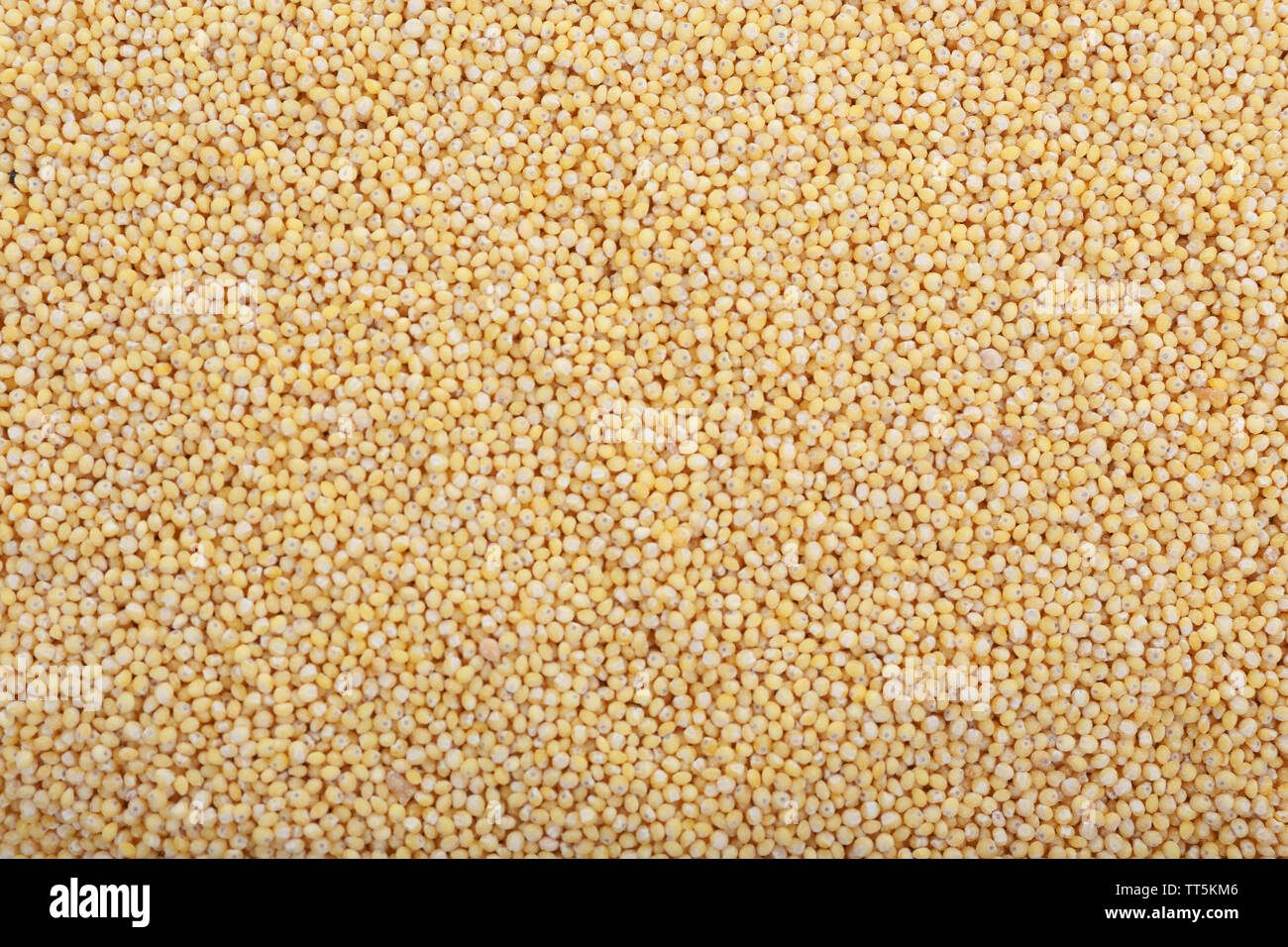 Millet as background Stock Photo - Alamy
